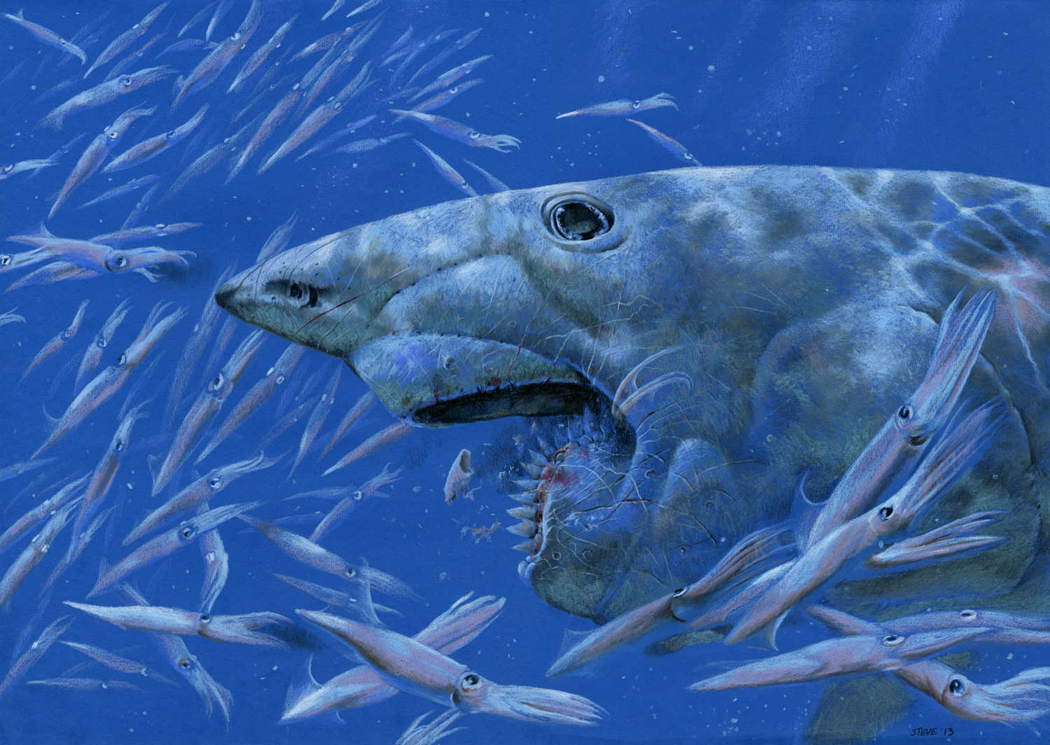 helicoprion